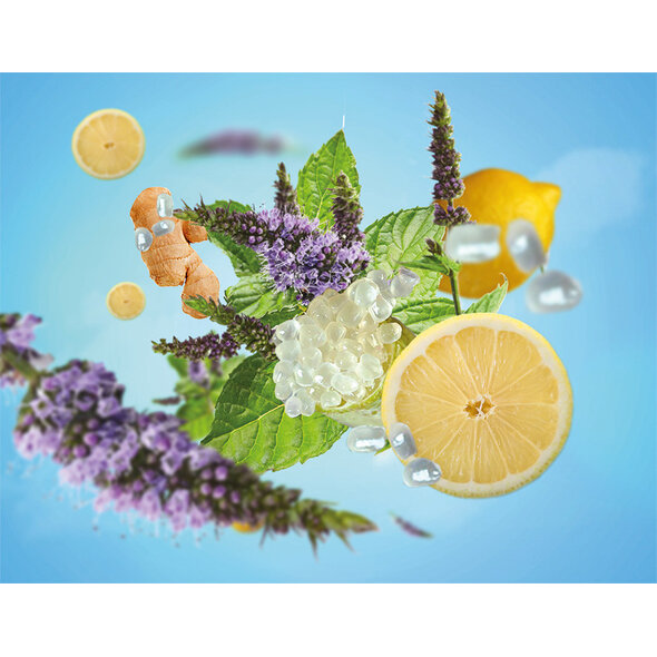 Maison Berger Maison Berger Refill of Tonic Lemon - 500ml