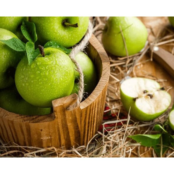 Maison Berger Maison Berger Refill of Green Apple - 500ml