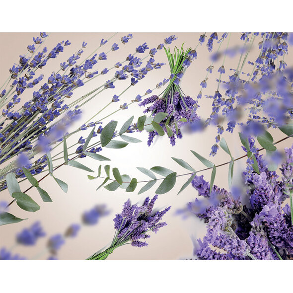 Maison Berger Maison Berger Refill of Lavender Fields - 500ml