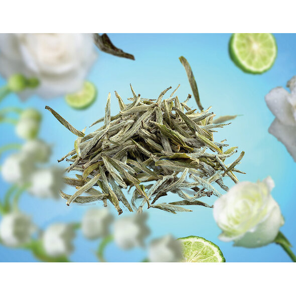 Maison Berger Maison Berger Refill of Pure White Tea - 500ml