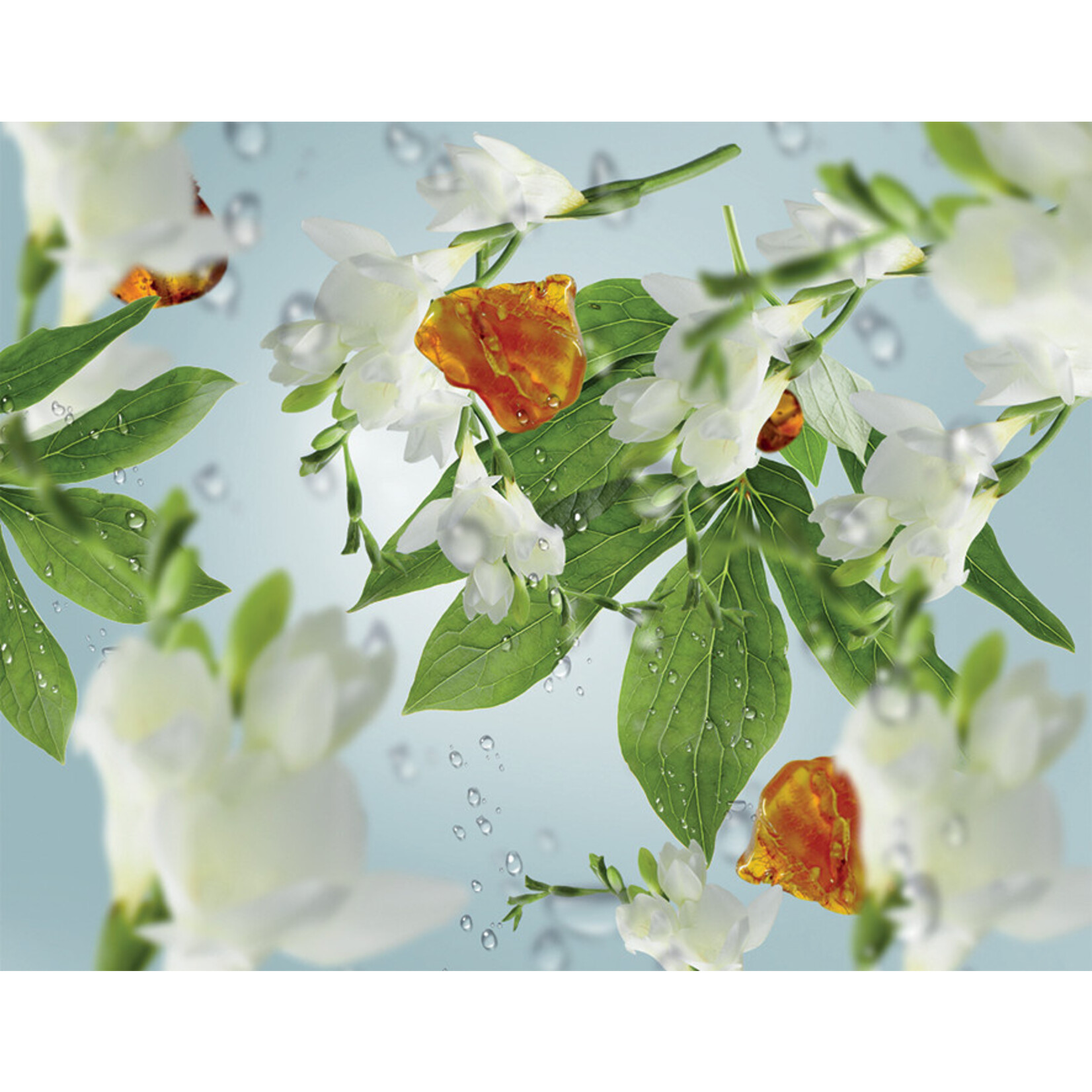 Maison Berger Maison Berger Refill of Summer Rain - 500ml