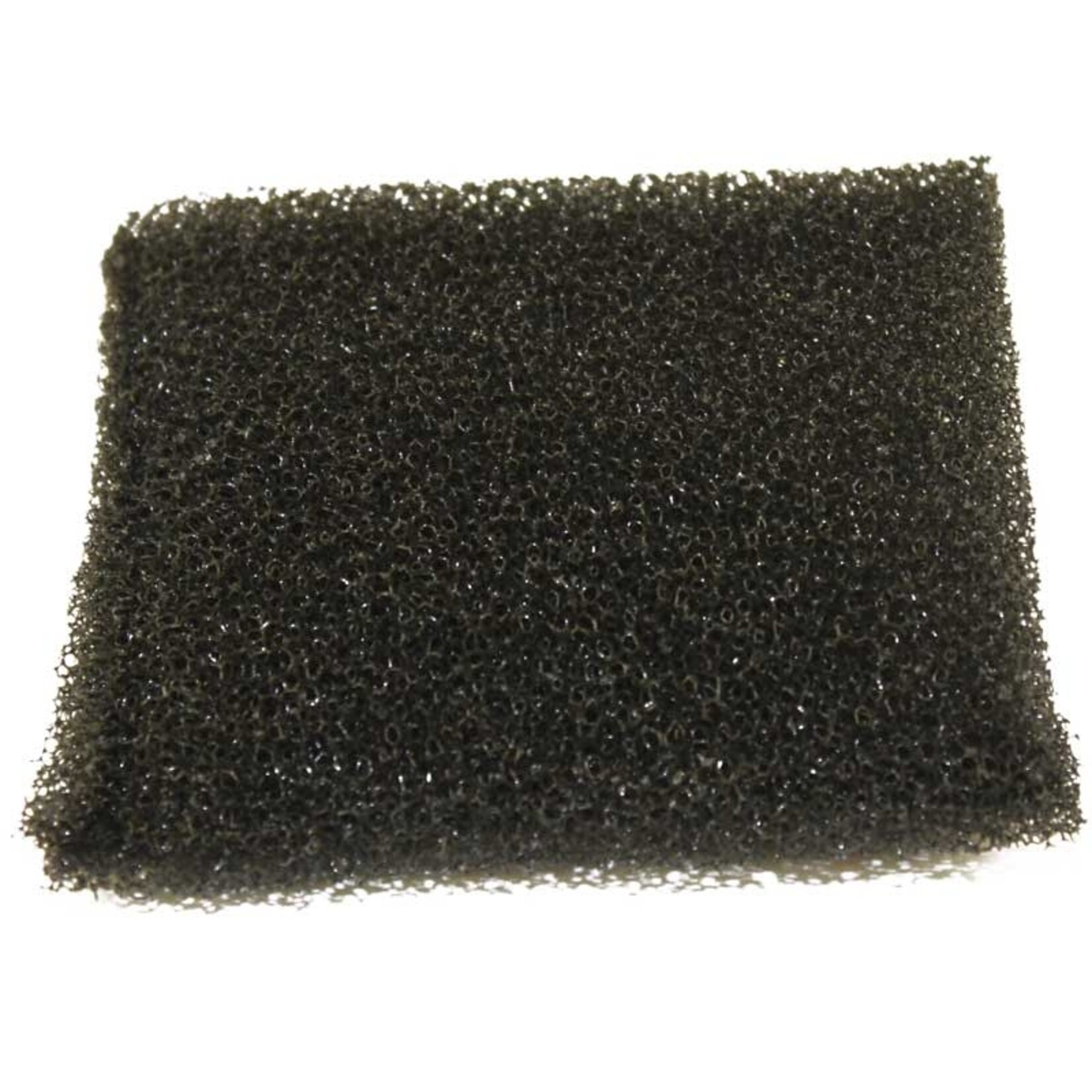 Hoover Hoover Foam Cup Extractor Recovery Tank Filter