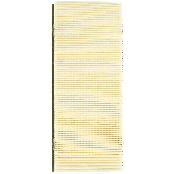 Hoover Hoover Style "26" Primary Filter