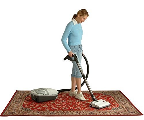 Portable Floor Care