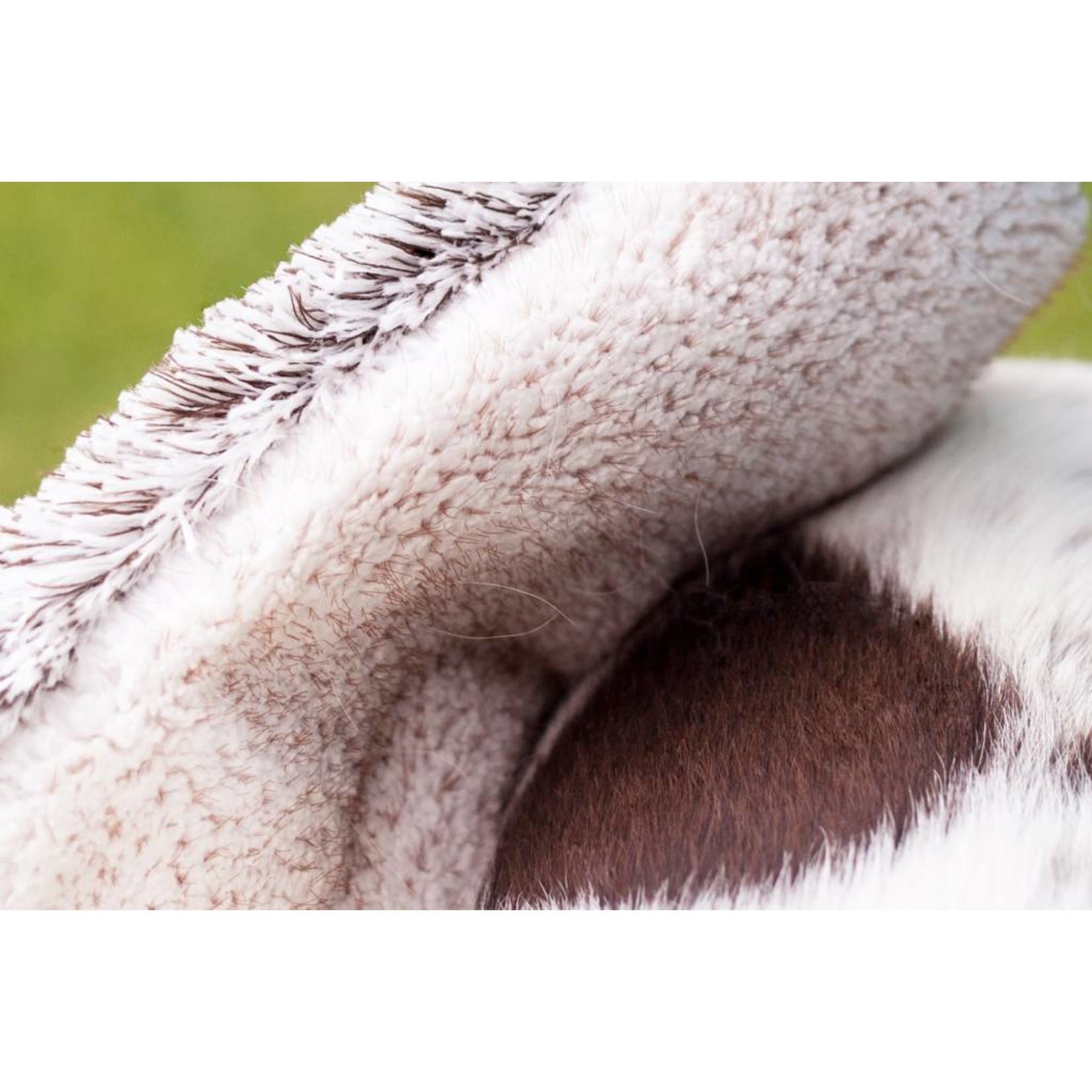 E-Cloth E-Cloth Pet Groom & Massage Mitt