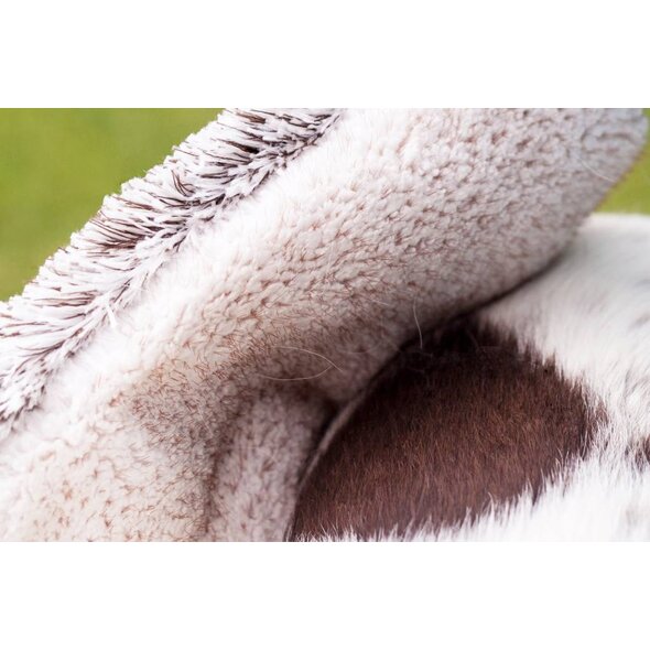 E-Cloth E-Cloth Pet Groom & Massage Mitt