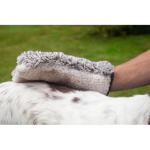 E-Cloth E-Cloth Pet Groom & Massage Mitt