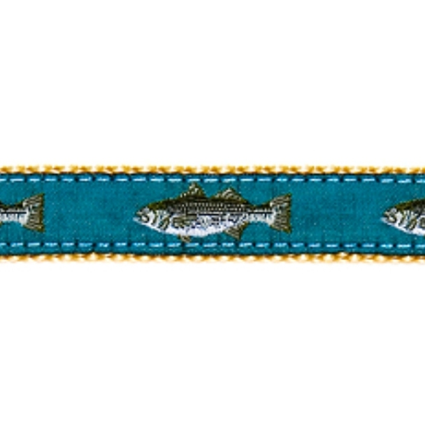 fish dog collar