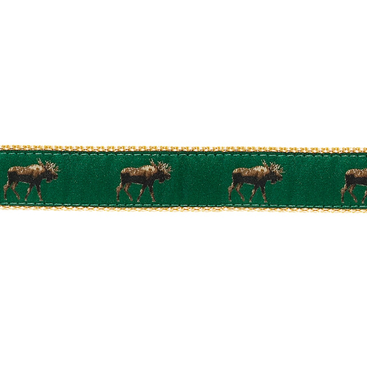 preston dog collar