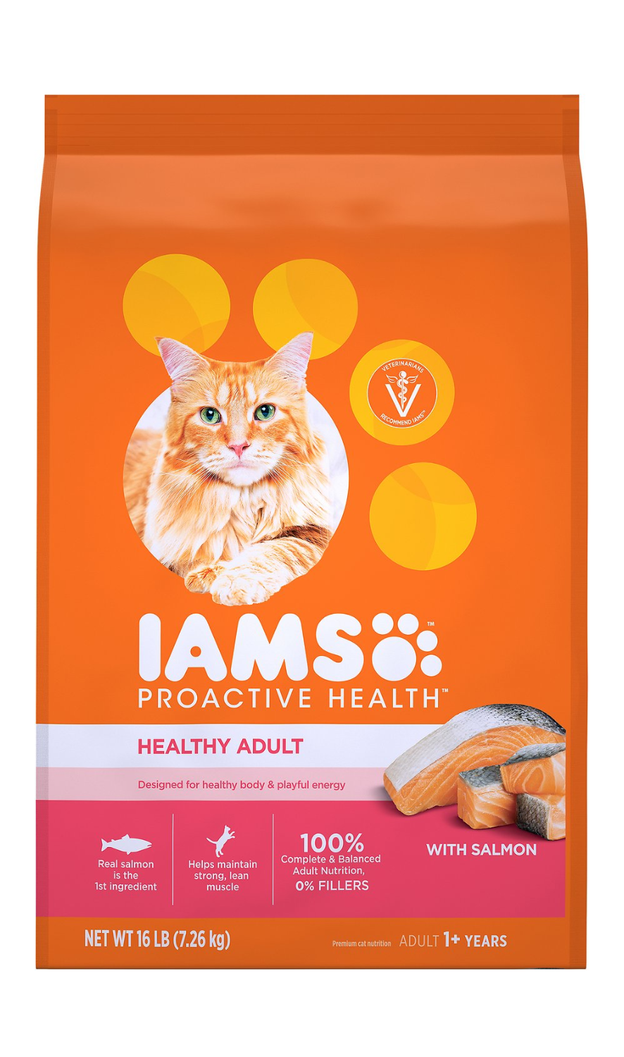 iams proactive cat food