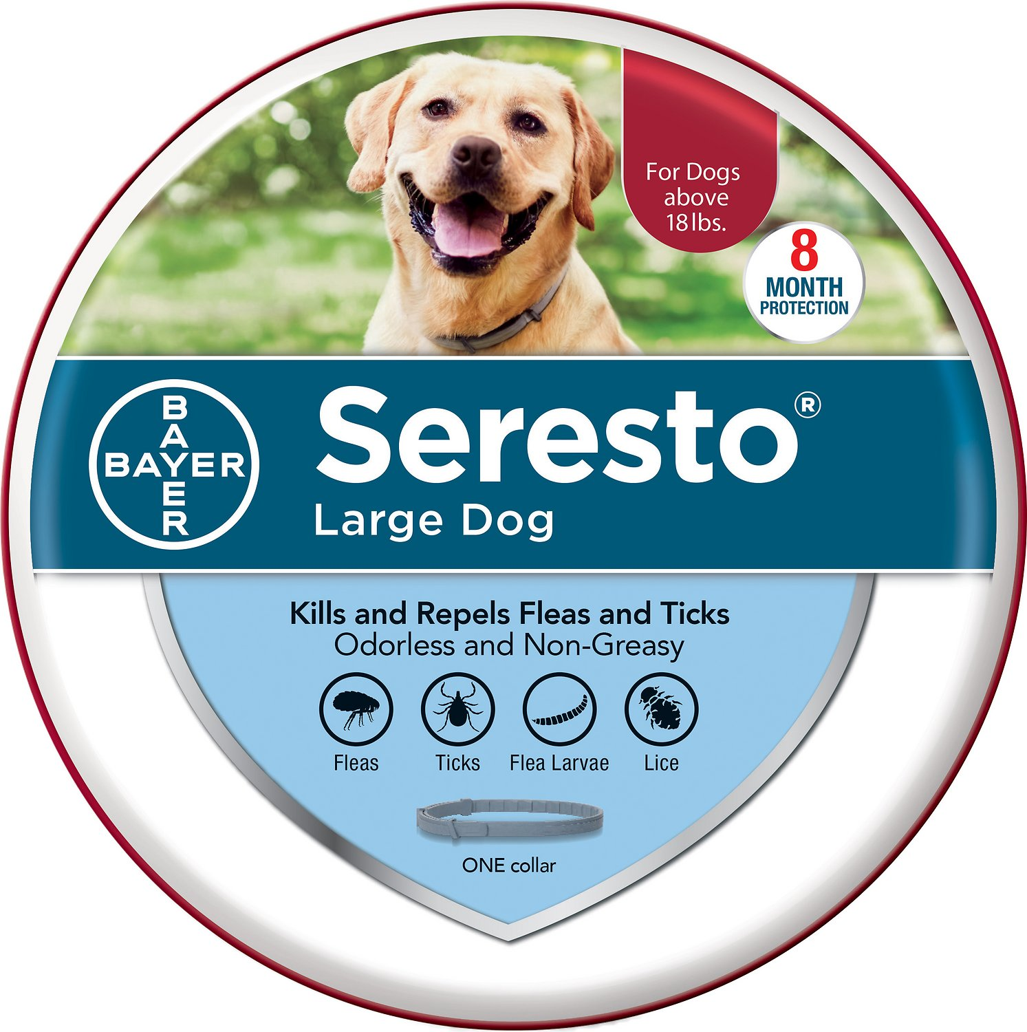 Seresto Seresto Large Dog Tick/Flea Odorless Non-Greasy Collar