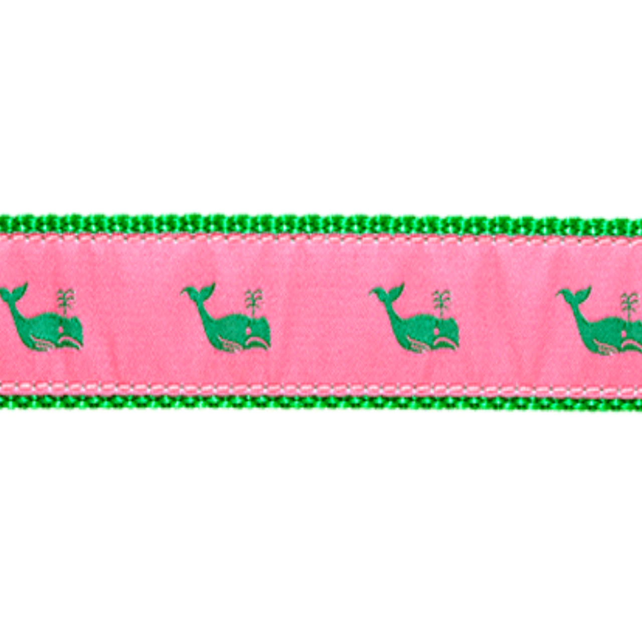 whale dog collar