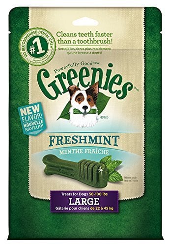 GREENIES Greenies Dog Mint Large 12oz