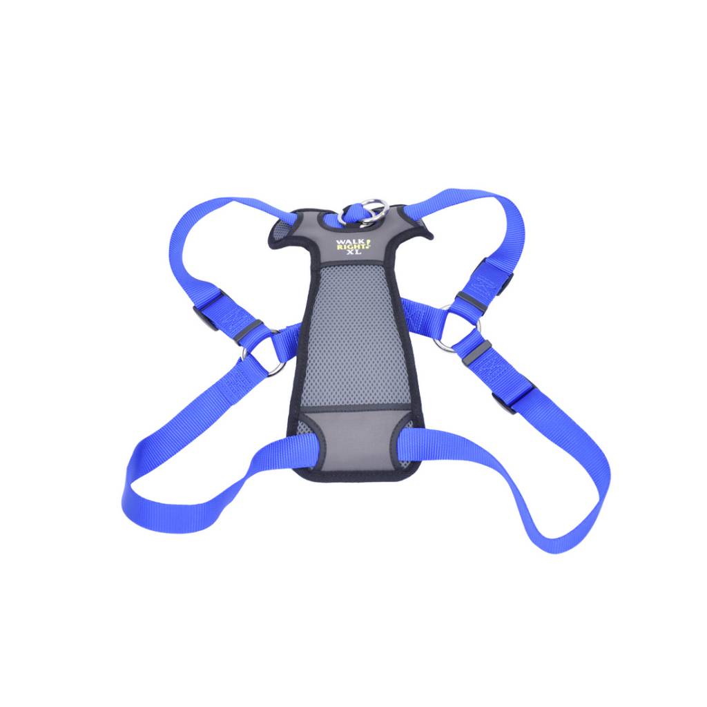 walk right harness