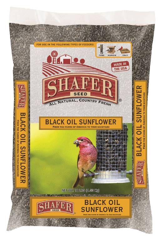 Sunflower Seed 20 100 Oil Eliot Me Maine Pet Supply