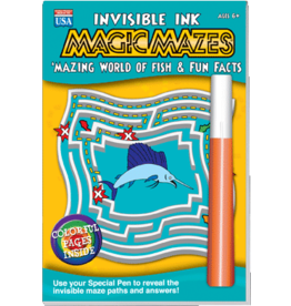 Lee Publications Invisible Ink Magic Mazes Fish