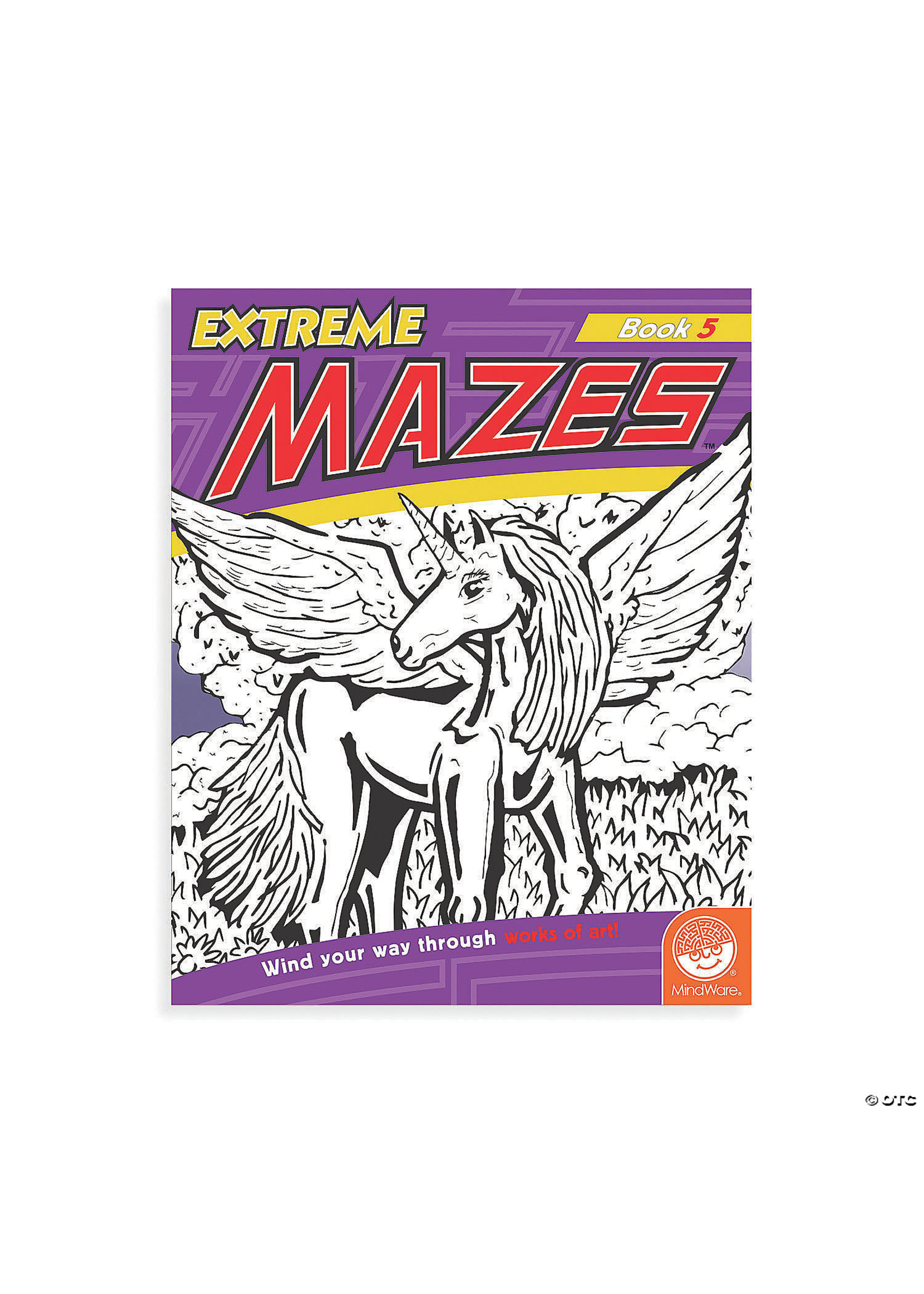 MindWare Extreme Mazes Book 5