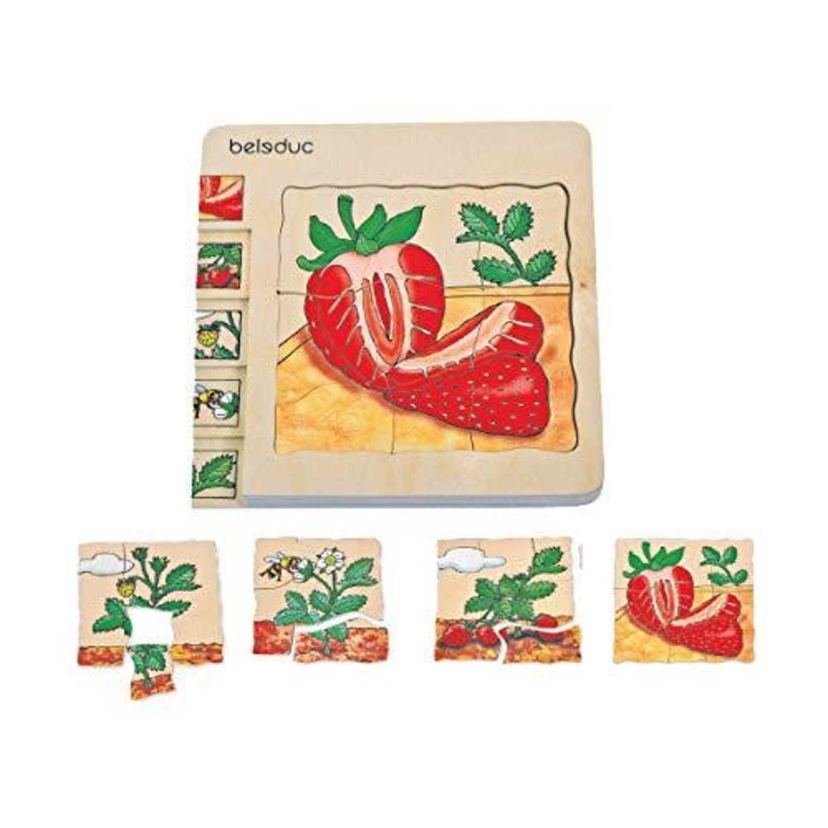 5-in-1 Puzzle - Strawberry