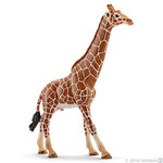 Schleich Giraffe Male