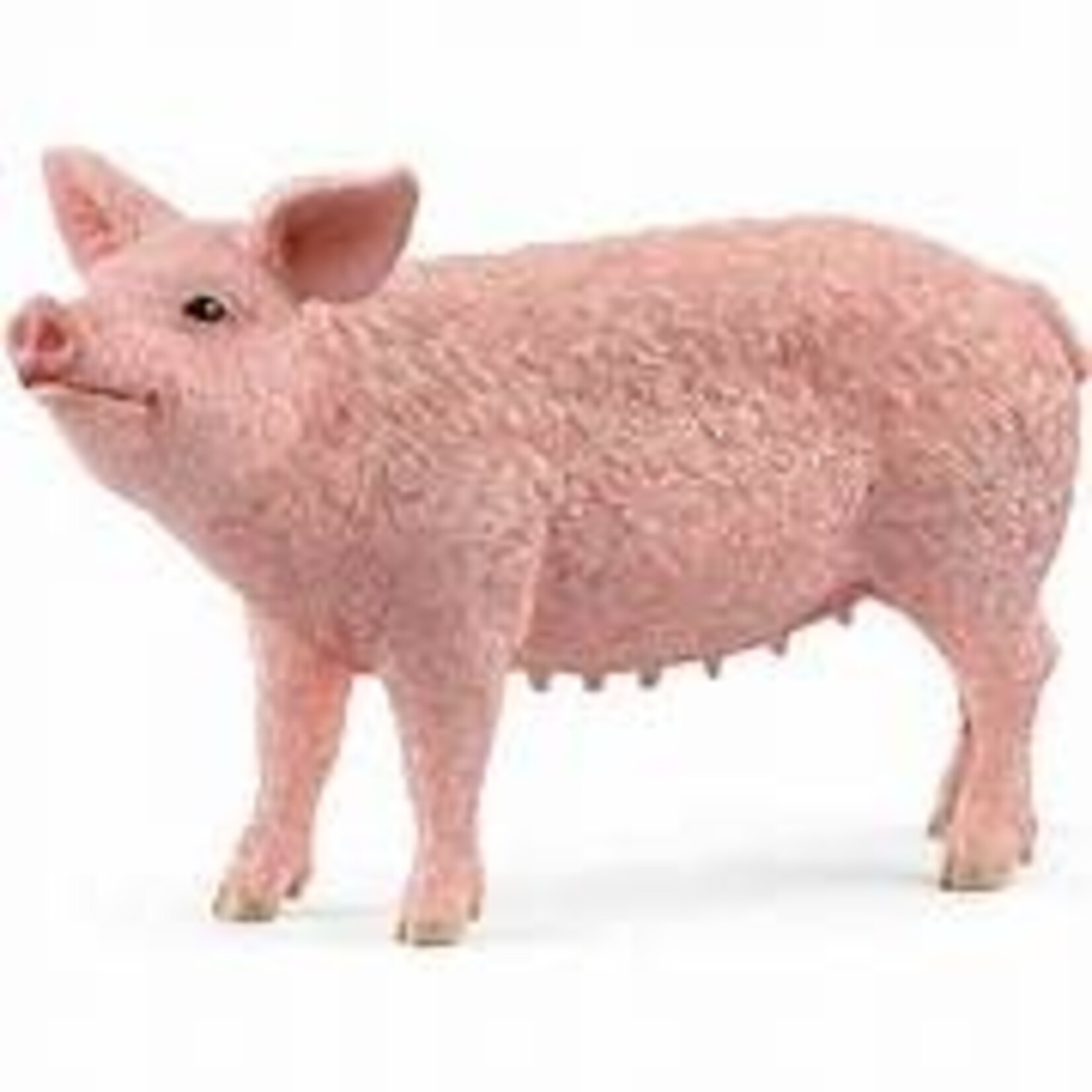 Schleich Pig