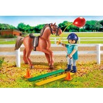 Playmobil Horse Therapist