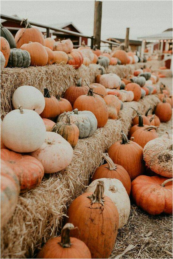 5 façons d’accueillir l’automne