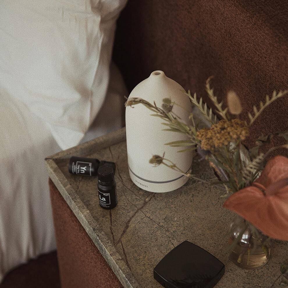 En vedette : Les produits Vitruvi