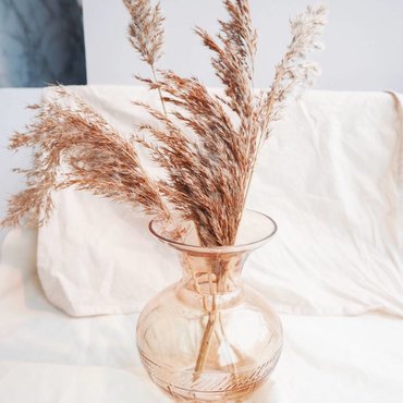 Home Decor Home Decor
