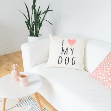 For your pets For your pets