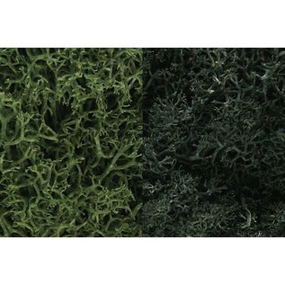 Woodland Scenics L168 Lichen - Dark Green Mix
