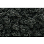 Woodland Scenics FC1648 Bushes Clump-Foliage Forest Green