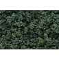Woodland Scenics FC1636 Underbrush Medium Green