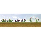 JTT 95557 Assorted Flower Plants 1, 1/2", 12/pk, HO Scale