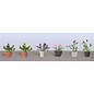 JTT 95566 Assorted Potted Flower Plants 1, 1", 6/PK, O Scale