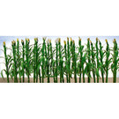 JTT 95552 Corn Stalks, HO Scale, 30-Pk,1" tall
