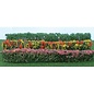 JTT 95510 Flower Hedges 8/Pk, HO Scale