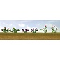 JTT 95558 Assorted Flower Plants 1, 10/pk, "O"