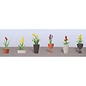 JTT 95567 Assorted Potted Flower Plants 2, 6/pk, HO Scale