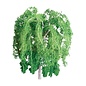 JTT 94270 3" Weeping Willow 2/pk, HO