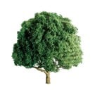 JTT 94261 1-1/2" Oak tree 4/pk, N-Scale