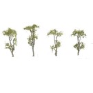 JTT 94410 Gum Tree 2"tall 4/pk