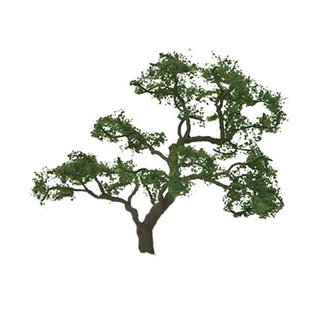 JTT 94429 1-1/2" Beech Tree 4/pk