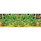 JTT 95526 Tomato Plants, O Scale, 1.5" tall