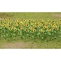 JTT 95523 Sunflowers, HO Scale, 1" tall