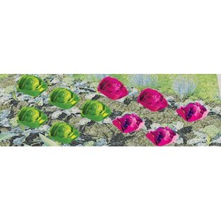 JTT 95528 Cabbages and Lettuces, O Scale, 1/2' width