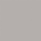 Tru-Color TCP-801 Flat Concrete, Tru-Color, 1oz. Brushable