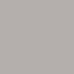 Tru-Color TCP-801 Flat Concrete, Tru-Color, 1oz. Brushable