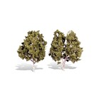 Woodland Scenics TR3536 Waters Edge Trees, 5" - 6"