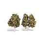 Woodland Scenics TR3536 Waters Edge Trees, 5" - 6"