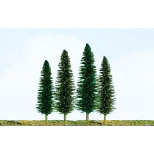 92031 Cedar Trees 4."-6", 24Pk.